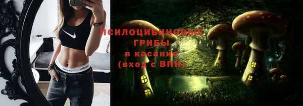 стафф Абаза